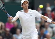 竞技宝-关于穆雷迎来七赛季高光表现，日本队球迷沸腾！的信息